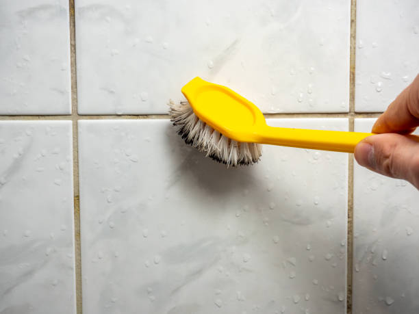 Best Mold Cleaning Services  in Honeyville, UT