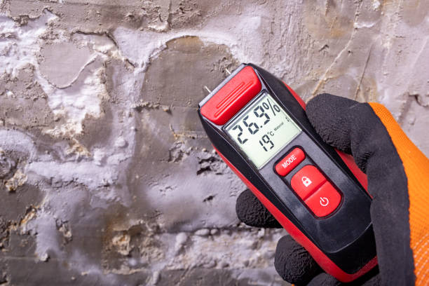 Best Office Mold Removal Services  in Honeyville, UT